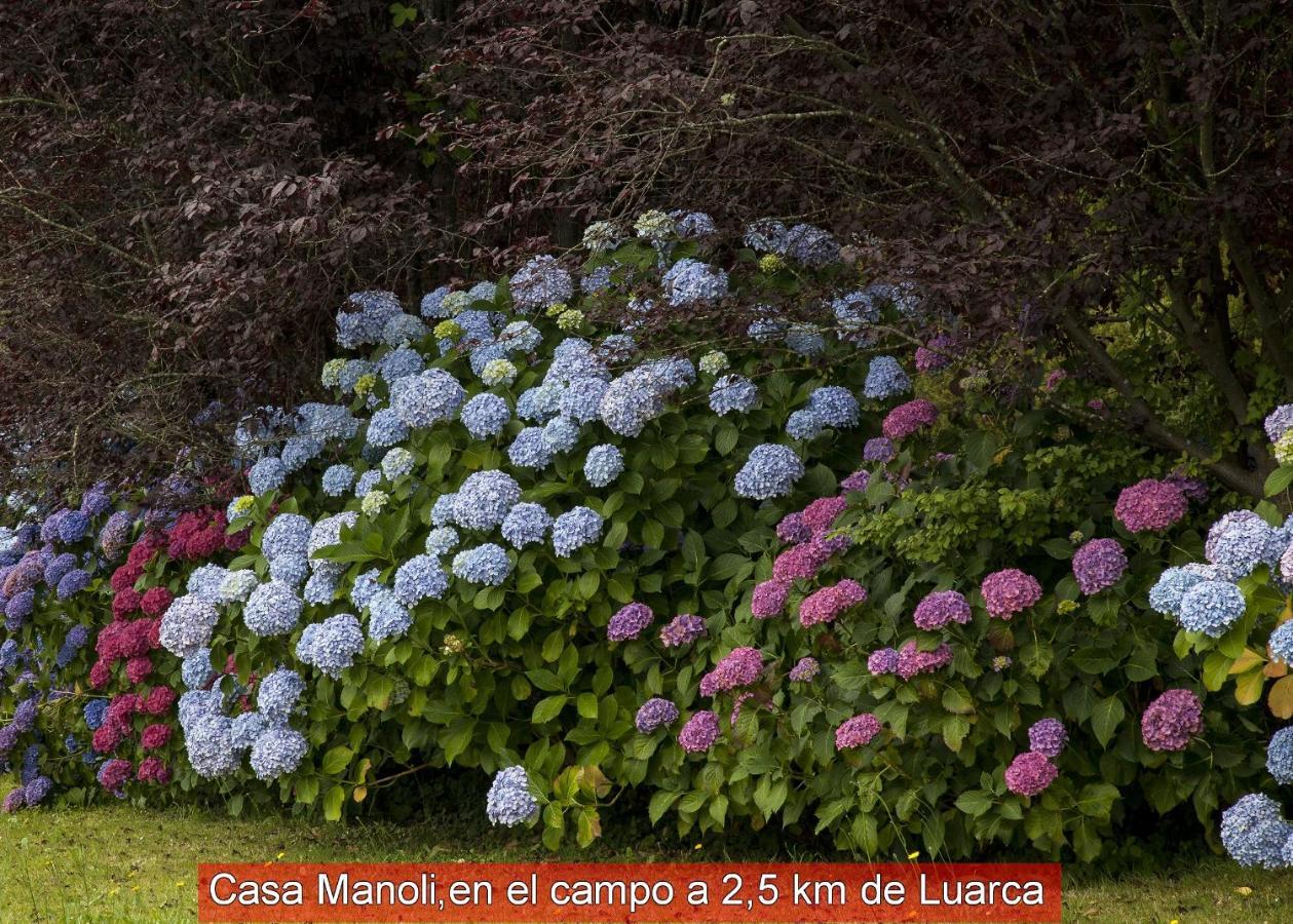 Casa Manoli Luarca Pensionat Almuña Exteriör bild